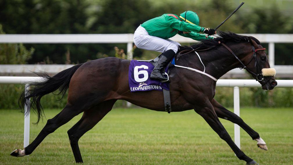 Sinawann strides to success in the Amethyst Stakes at Leopardstown