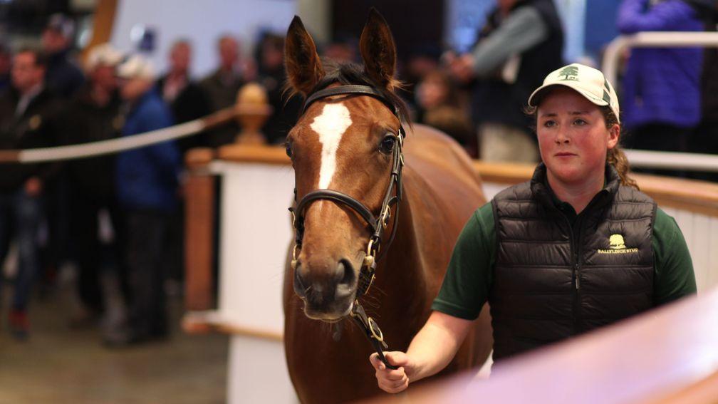 Lot 1303: the Lope De Vega filly out of Gallitea tops day three at 650,000gns