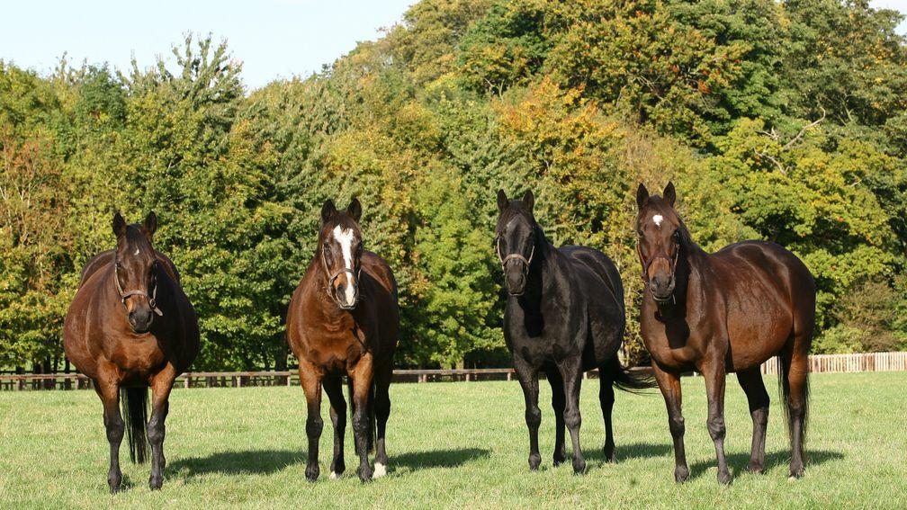 Hasili (second left) with her daughters (l-r) Banks Hill, Heat Haze and Intercontinental