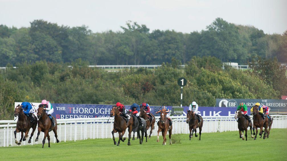 Sussex Ranger (second right) trails in behind winner Celestial Spheres on his debut at Goodwood