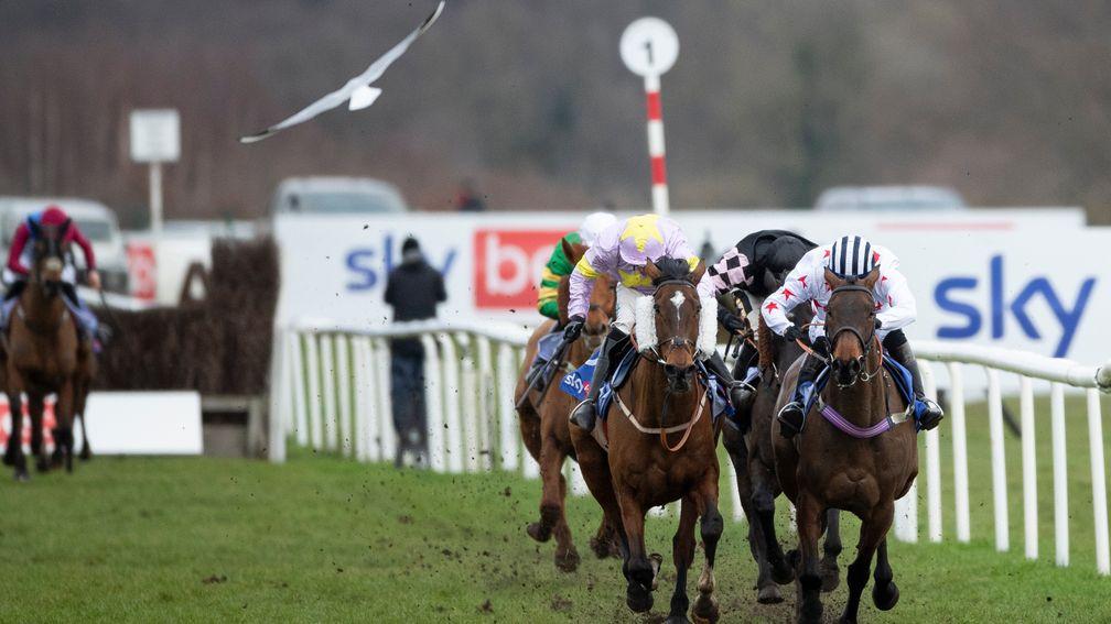 Takingrisks (left): 40-1 outsider caused a surprise in the Sky Bet Chase