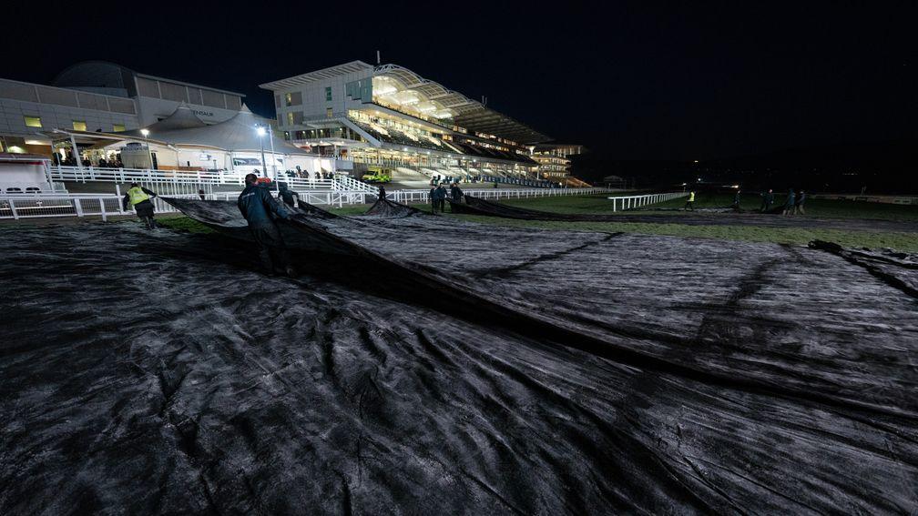 The scene at Cheltenham on Friday evening as frost covers are laid down