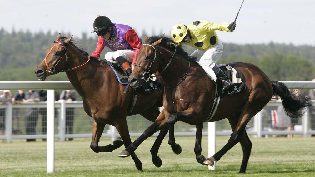 Quadrille (far side) is just denied by Afsare at Royal Ascot in 2010