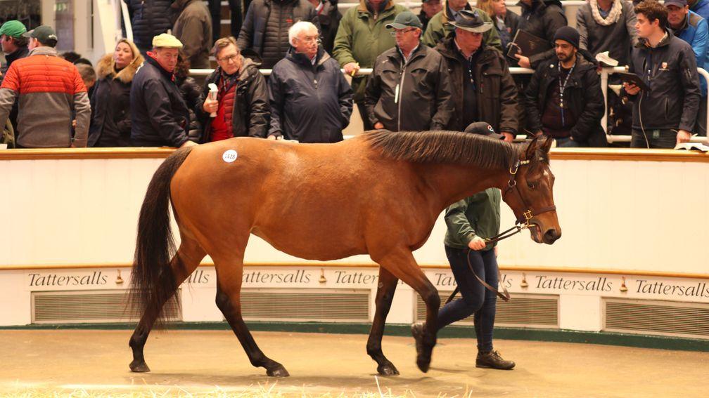 Aurora Gold: the daughter of Frankel in the Tattersalls ring before going the way of Bertrand Le Metayer for 550,000gns