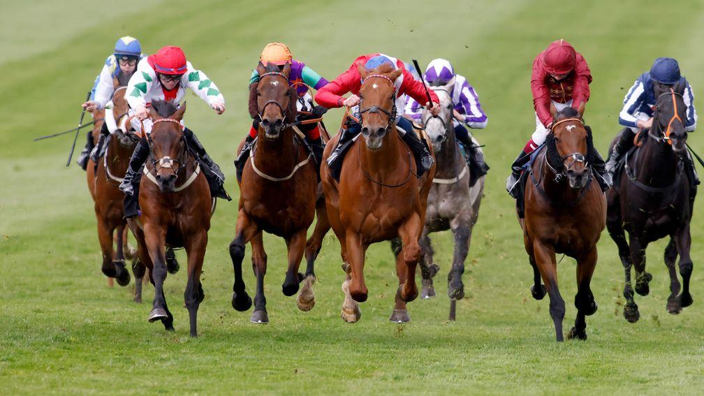 Dazzling Dan (second left) finishes third at Newmarket