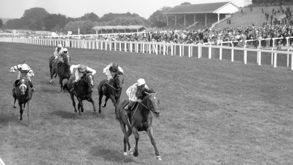 Busted: 'the best Flat horse trained in Britain in the 1960s'