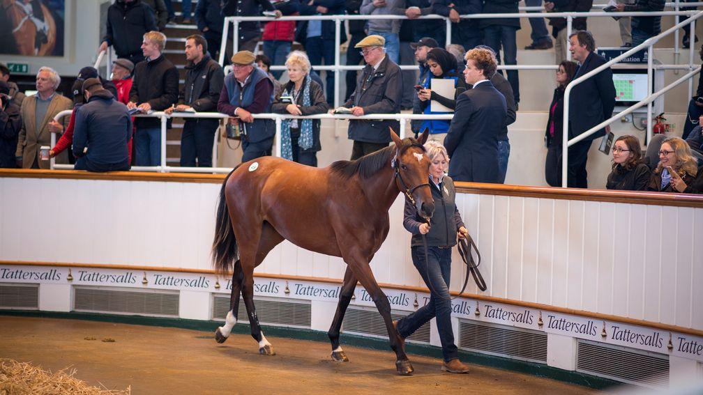 Maria Danilova in the Tattersalls ring, where she fetched 4,000,000gns