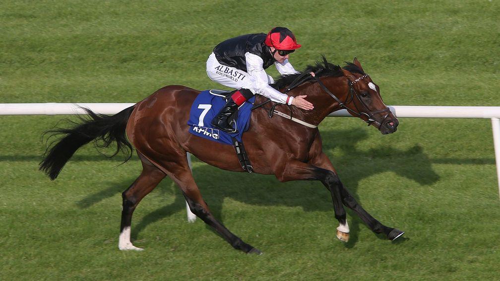 The homebred Free Eagle will cover three of Moyglare's quality broodmare band