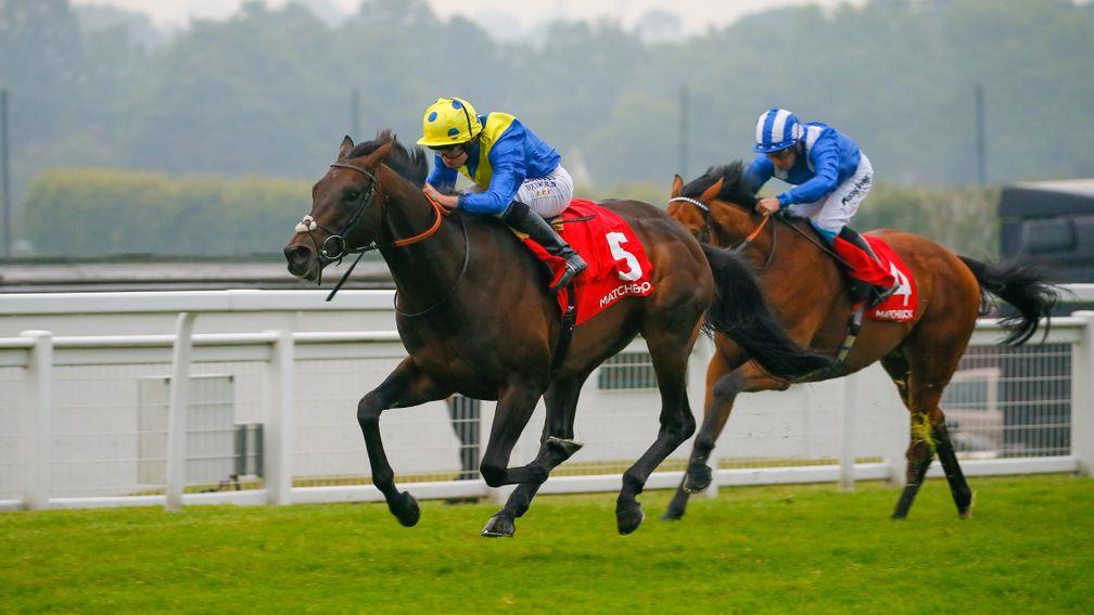 Poet's Word: warmed up for Royal Ascot with victory in the Brigadier Gerard last year