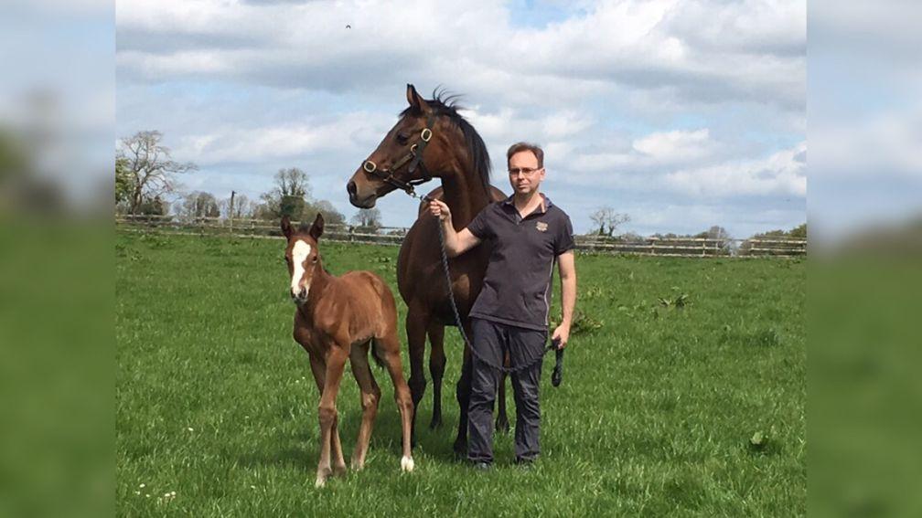 Tom Wallace with Greta D'Argent and her Mehmas filly foal born Saturday night