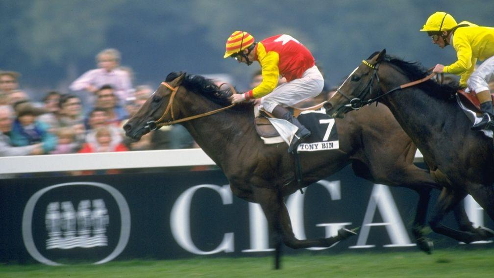 Joh Reid drives Tony Bin clear of favourite Mtoto to land the 1988 Arc