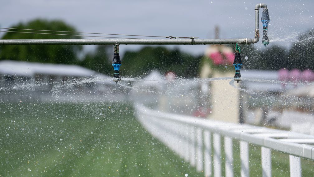 The home straight at Ascot is watered ahead of the start of the royal meeting