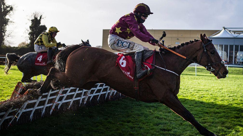 Holymacapony: favourite for the 2021 Albert Bartlett Novices' Hurdle before a couple of disappointing efforts