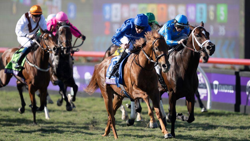 Space Blues: successful on his final start in the Breeders' Cup Mile