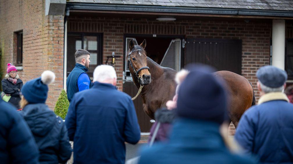 World champion and Kildangan Stud sire Ghaiyyath has his first runners in 2024 