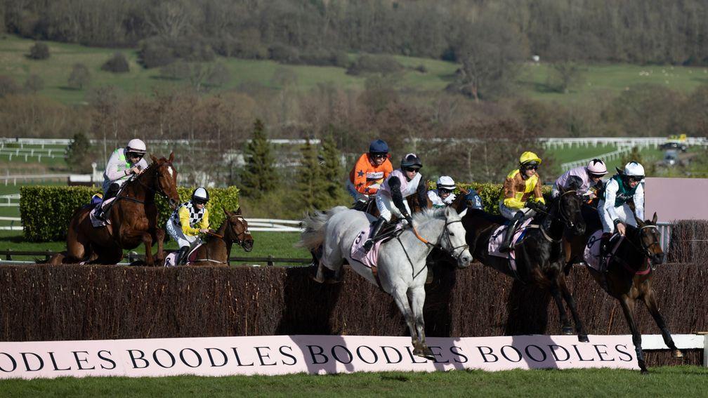 Galopin Des Champs (third right) jumps en route to winning his second Gold Cup at Cheltenham