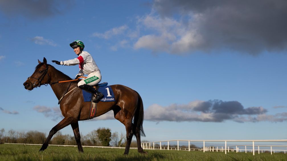 Aine O'Connor gives Familiar Dreams a pat following their win in the mares' bumper