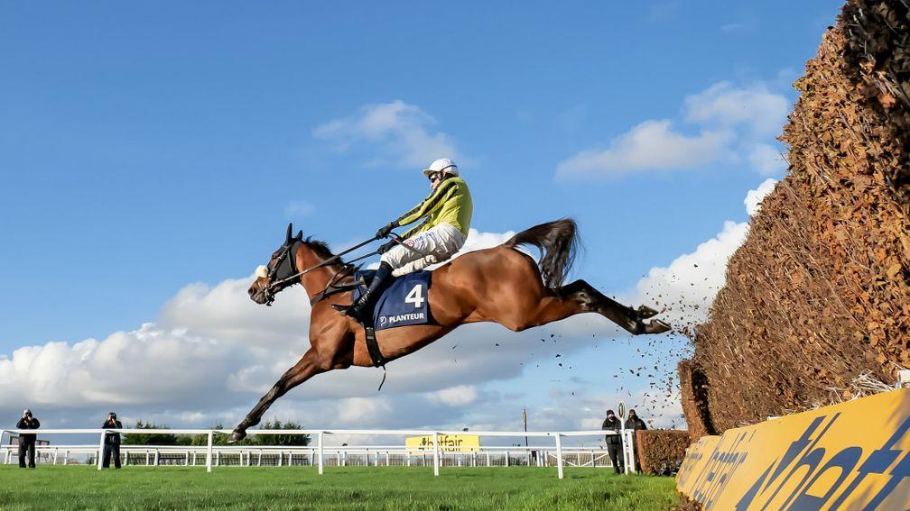 Heading for the top: Henry VIII Novices' Chase hero Allmankind (Harry Skelton) has Shishkin in his sights