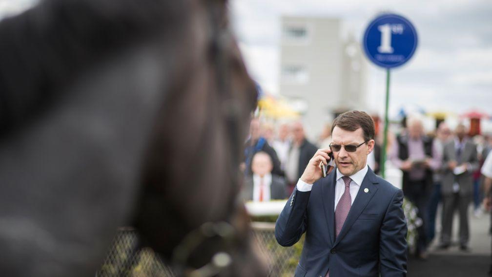 Aidan O'Brien has rattled off 14 wins at the highest level so far this season, two more than this time last year