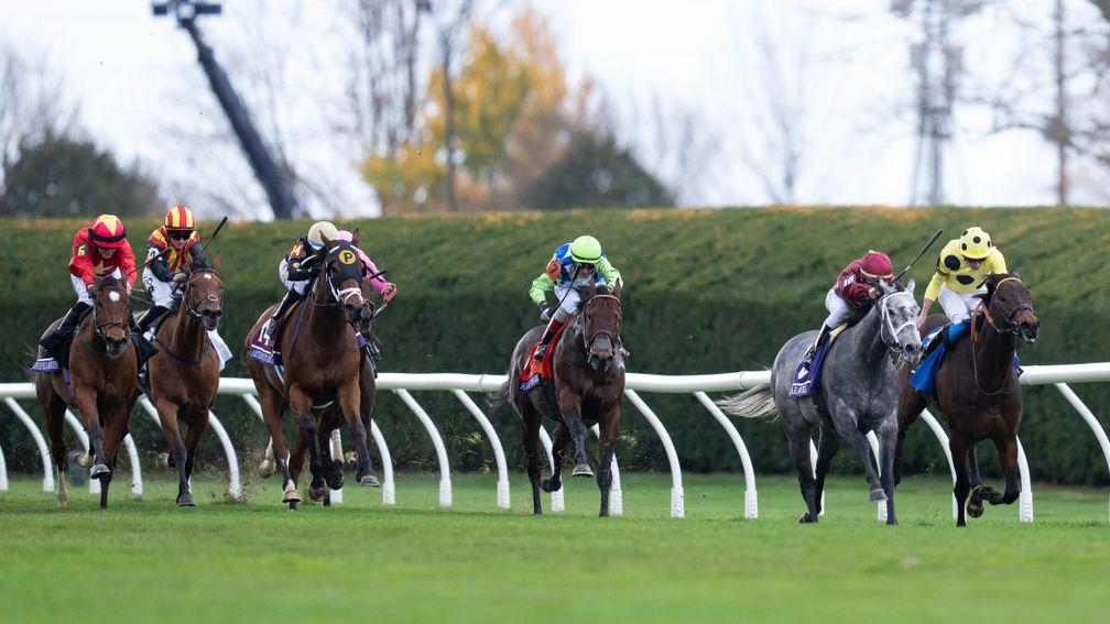 Caravel (second from right): held off a strong European charge to win the Turf Sprint