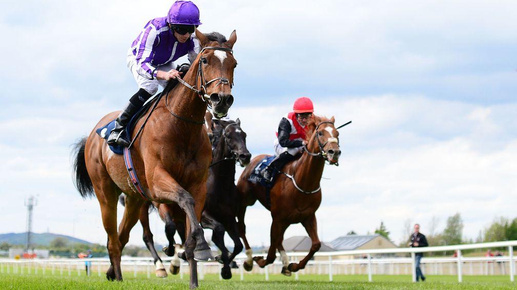 Magical: bidding for sixth Group race win in Tattersalls Gold Cup