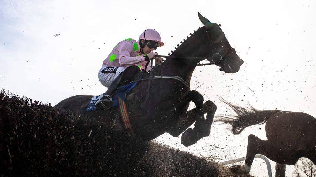 Irish Grand National: there could be value in the market