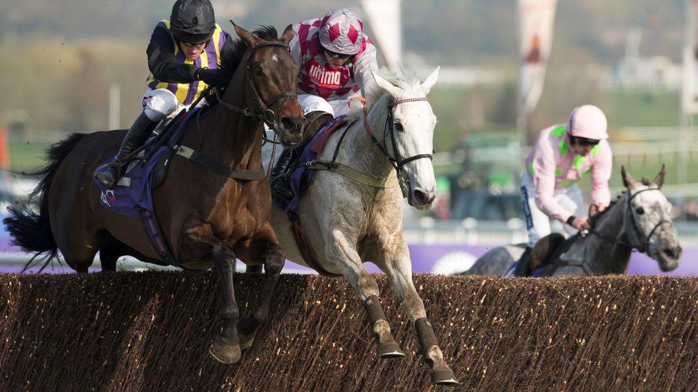 Smad Place and O'Faolains Boy go toe-to-toe in the 2014 RSA Chase at Cheltenham