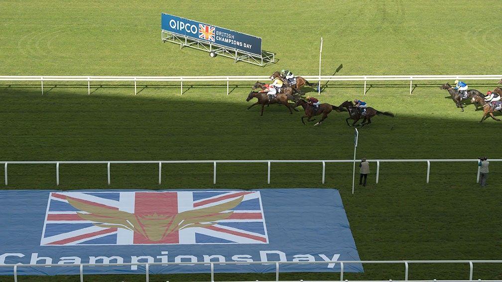 Qipco Champions Day has become an afternoon of racing to rival any other anywhere in the world