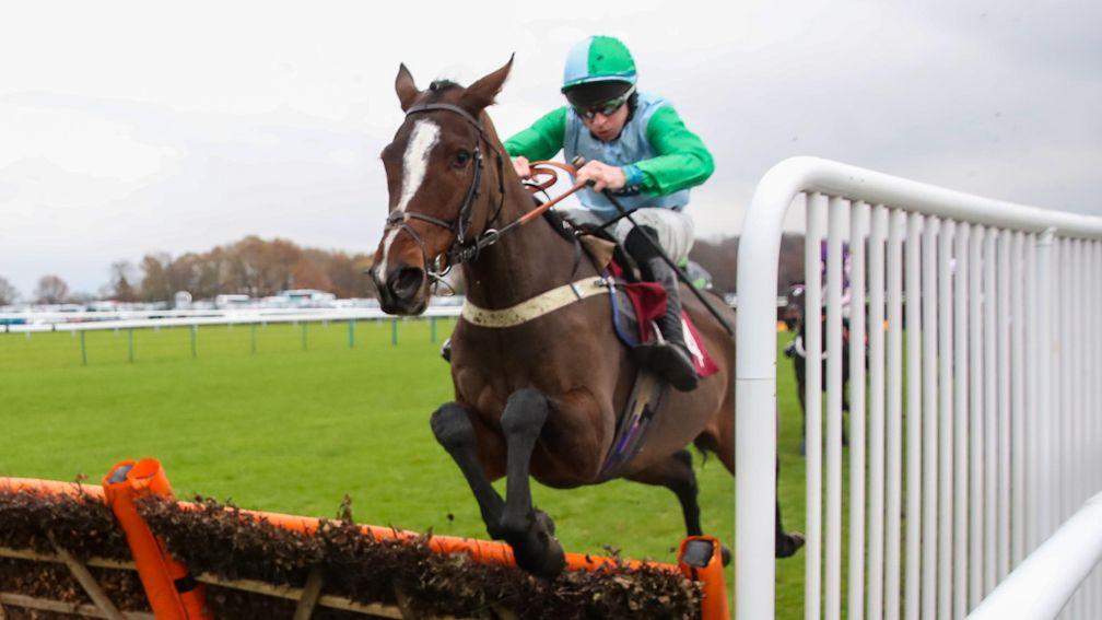 Thebannerkingrebel: runs out an easy winner of the Listed novices' hurdle at Haydock