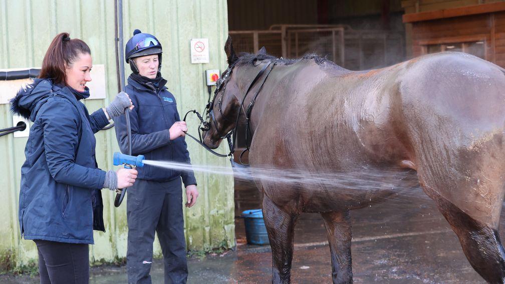 Trainer Rebecca Menzies hoses down one of her horses after exercise