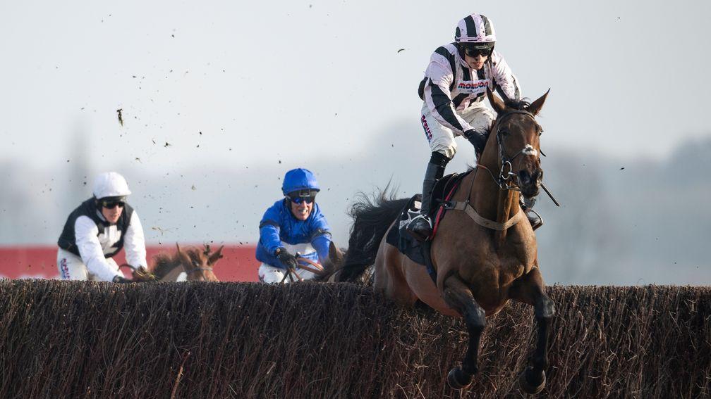 Danny Whizzbang jumps the final fence en route to success in the John Francome Novices' Chase
