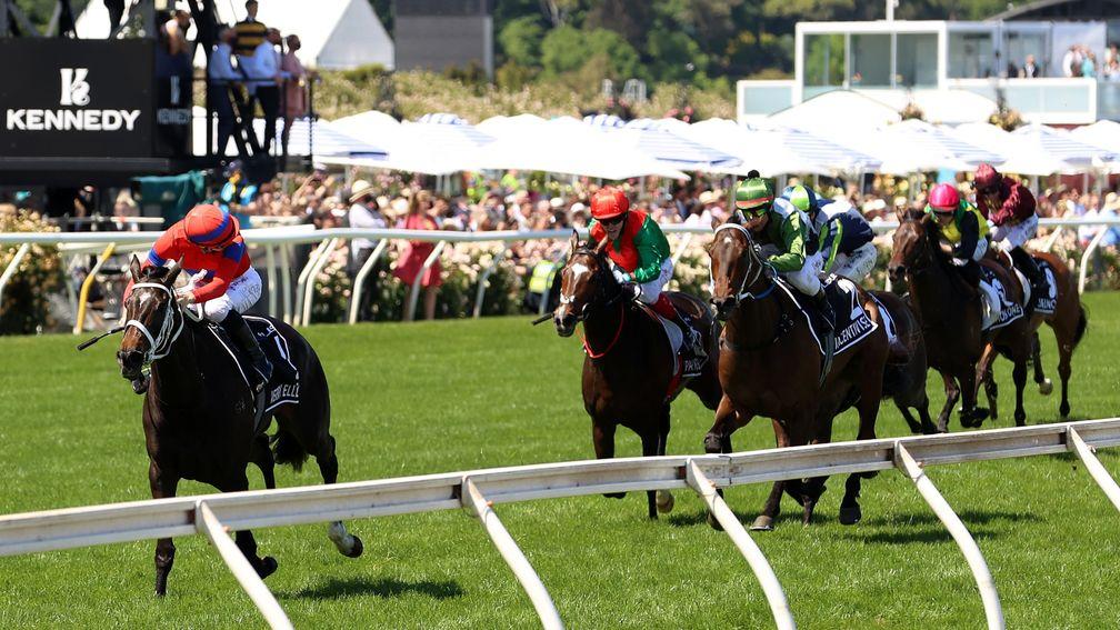 Verry Elleegant storms to an impressive victory in the 2021 Melbourne Cup