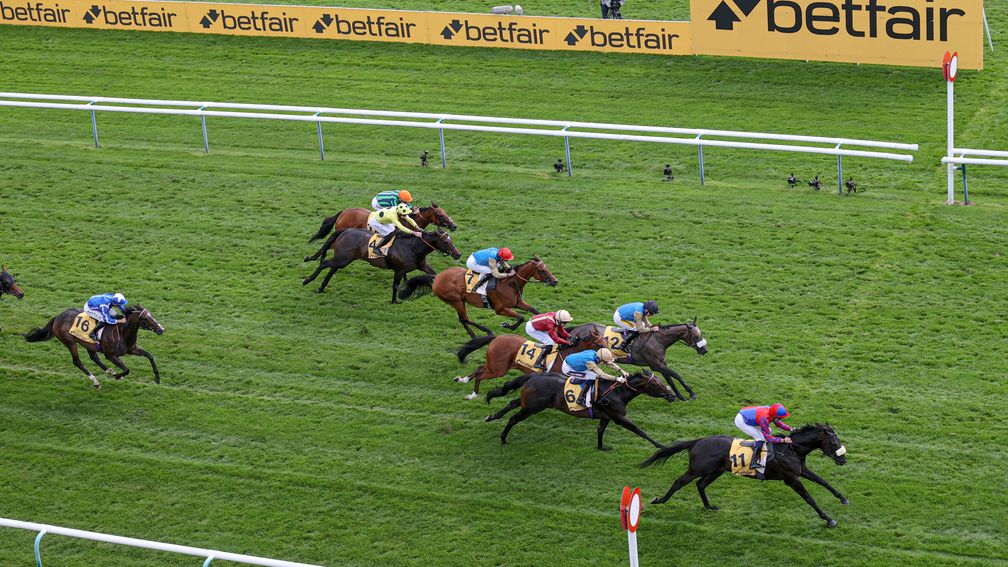 Big Mojo Haydock Sprint Cup