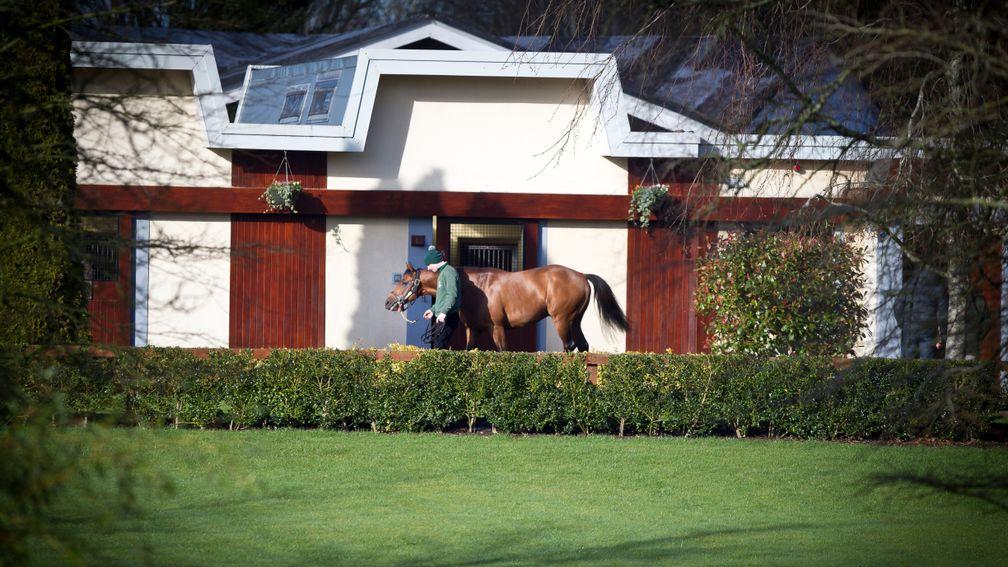Irish National Stud: will welcome 27 new students in January