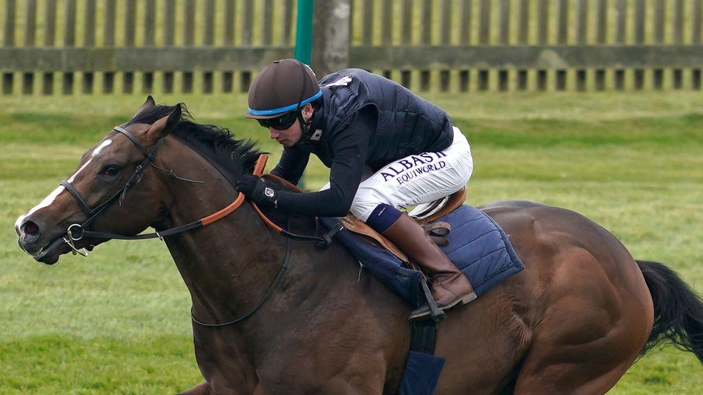 Oisin Murphy aboard Advertise in a racecourse gallop at Newmarket