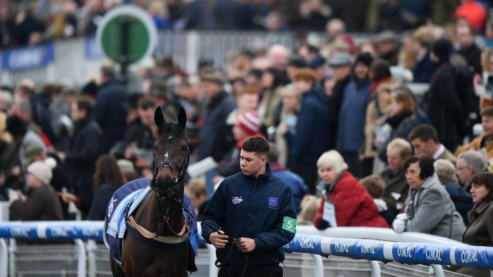 The crowd looks on as a runner parades at Chepstow