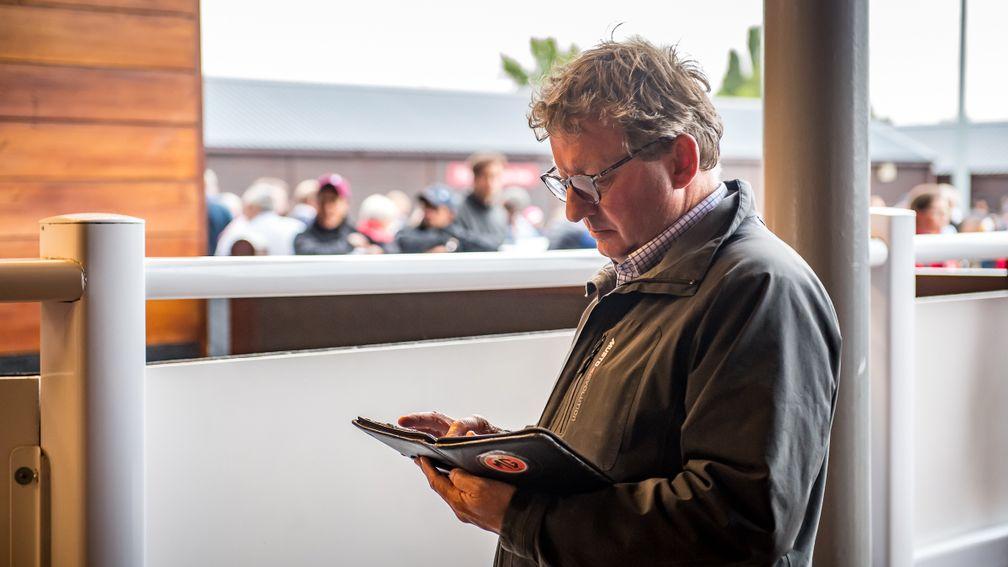 Mark Johnston examines the catalogue at the Goffs UK Premier Yearling Sale