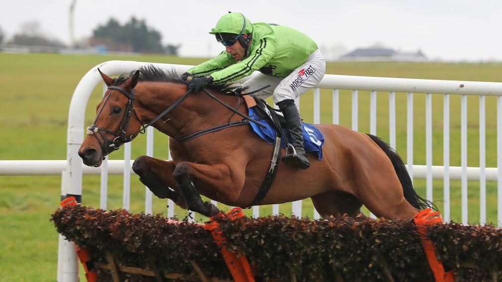Silver Sheen: 'He may even be a horse for the National Hunt Chase at Cheltenham.'
