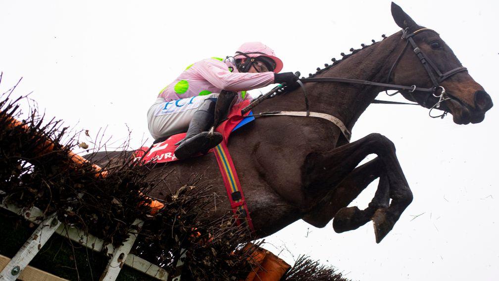Benie Des Dieux: could tackle the new race at the Cheltenham Festival