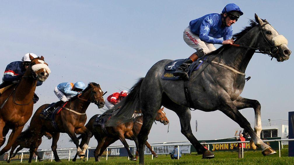 Ocean Tempest (Adam Kirby) winning the 2014 Liincoln at Doncaster