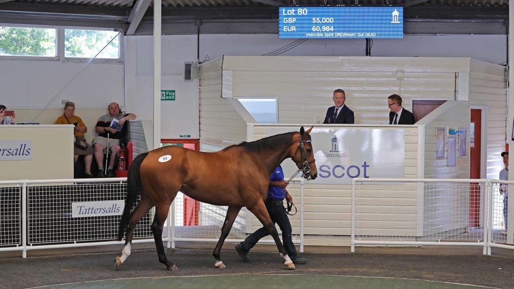 Winter Sky takes her turn in the Ascot sales ring