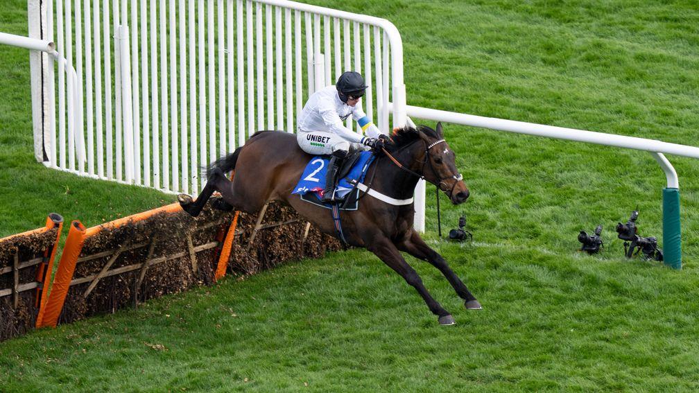 Constitution Hill: another four-year-old Irish point-to-point graduate