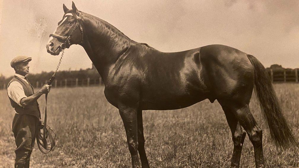 Hurry On: 1916 St Leger winner stood at Lavington Stud and produced seven Classic winners