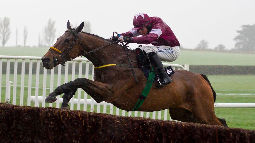 Road To Riches: will be going to the sales after the Galway Blazers Handicap Chase