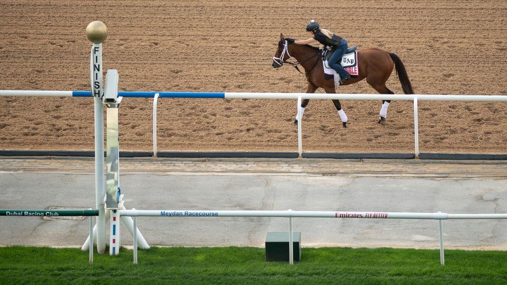 Audible ahead of this year's Dubai World Cup, in which he finished fifth to Thunder Snow