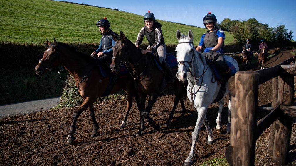 In good company: Brother Tedd (right) alongside Smarty Wild (middle) and five-time Grade 1 winner Defi Du Seuil (left)