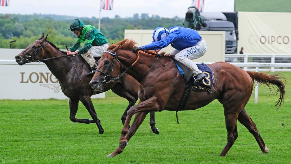 Molatham: Jersey Stakes winner is well worth a try over six furlongs