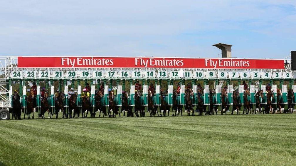 Steriline, which produced the bespoke York stalls, also manufactured the 25-gate used to start the Melbourne Cup, although the race limits itself to 24 runners
