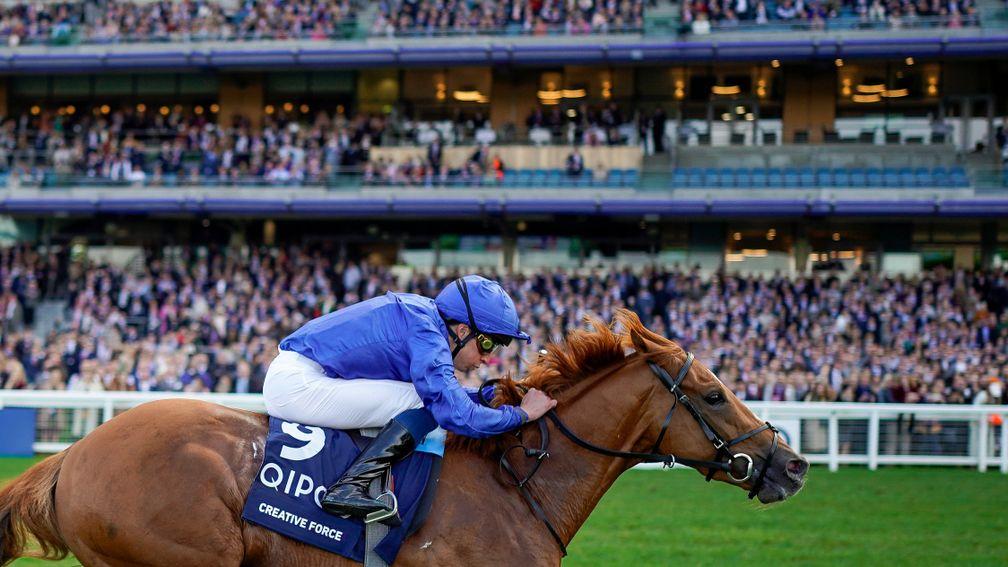 Creative Force: a 45th individual winner at the highest level for Dubawi
