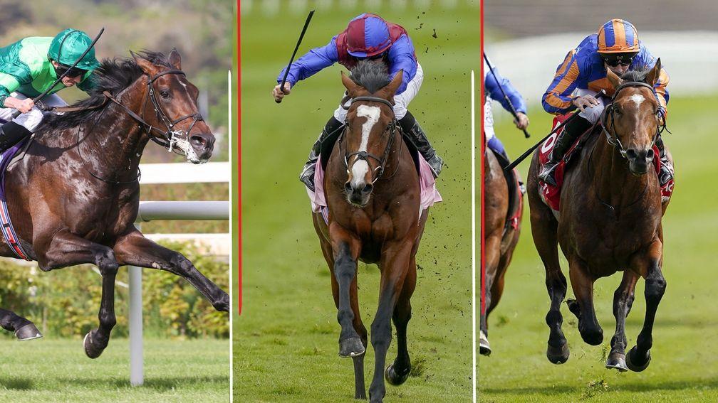 Stone Age, Changingoftheguard and Star Of India form a formidable Ballydoyle trio